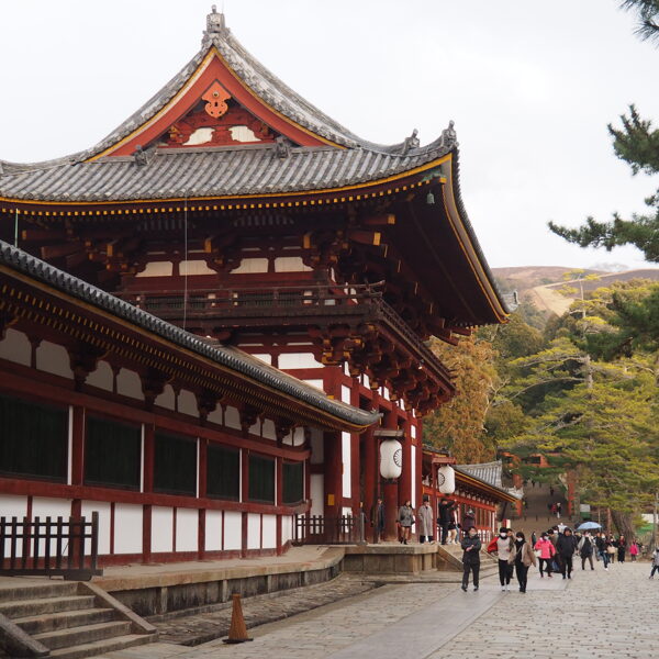 Kohfukuji temple & Pagoda