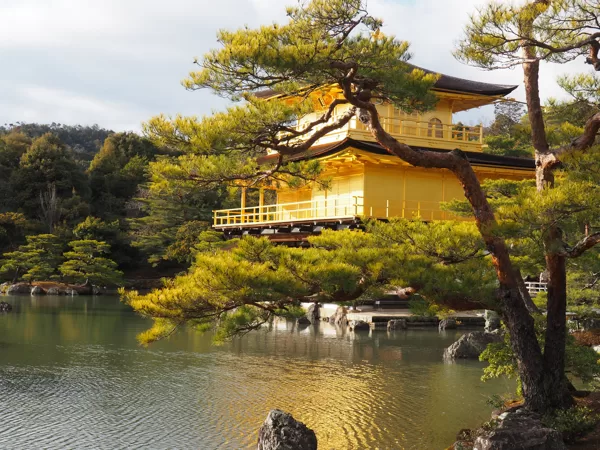 Le Pavillon d'or