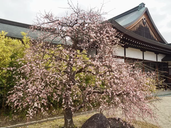Yakushi-ji Temple