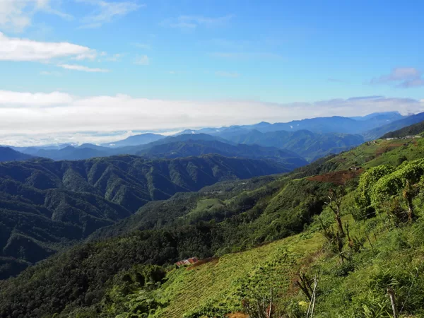 La Cordillère