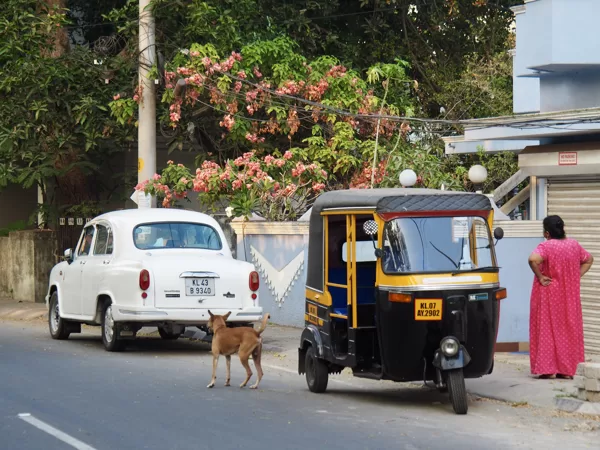 Ambassador la voiture indienne 