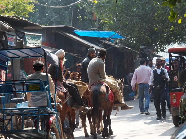 Old Delhi