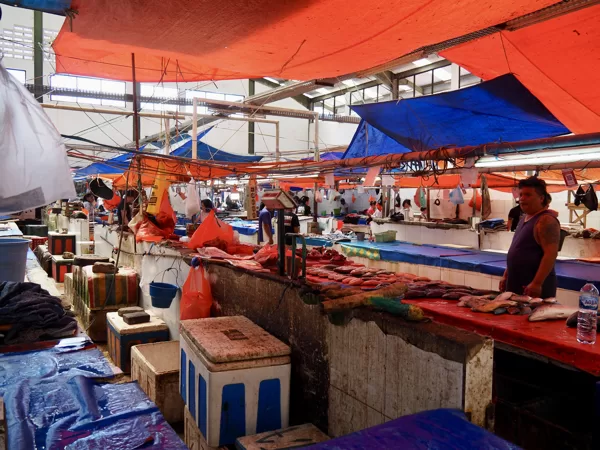 Marché de Tomohon
