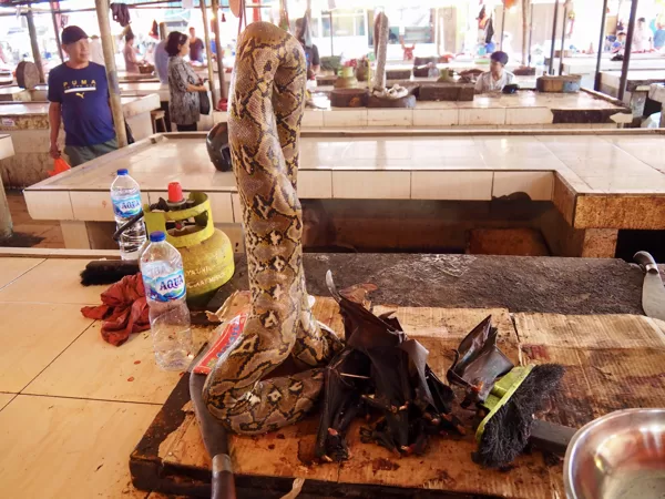 Marché de Tomohon