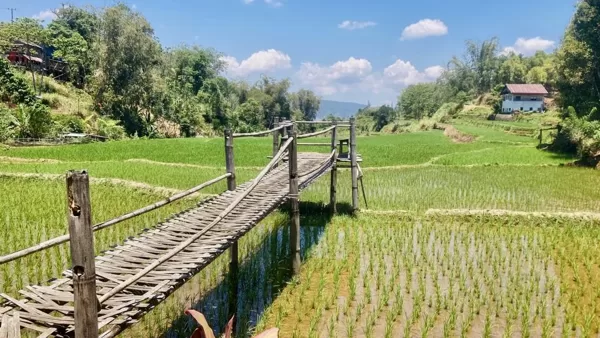 Route vers Malino
