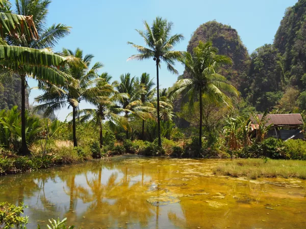 Rammang Rammang