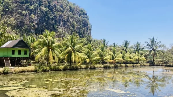 Rammang Rammang 