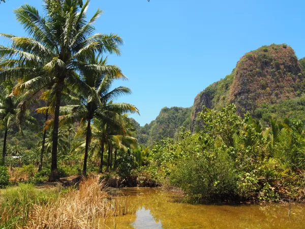 Rammang Rammang
